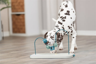 Trixie Fähigkeiten-Schleife Hund Nahaufnahme – Agility-Trainingsgerät Parcours Perspektive oben