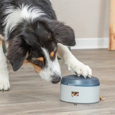 Trixie Aktivitätssummer Für Hunde Plastik