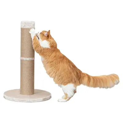 Trixie Kratzbaum Rue Xxl Beige