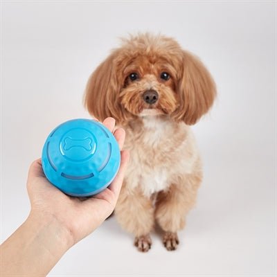Fofos Rollerball Hundespielzeug Verpackung – USB-aufladbar mit LED-Licht