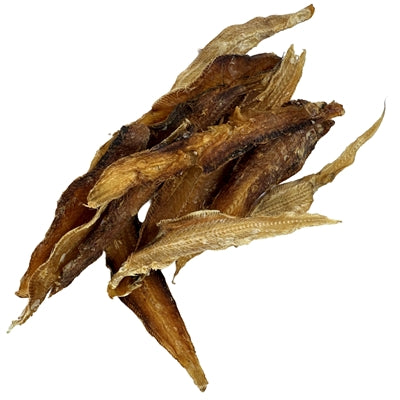 Petsnack Tongfilet Hund Nahaufnahme getrocknetes Fischfilet ohne Zusatzstoffe