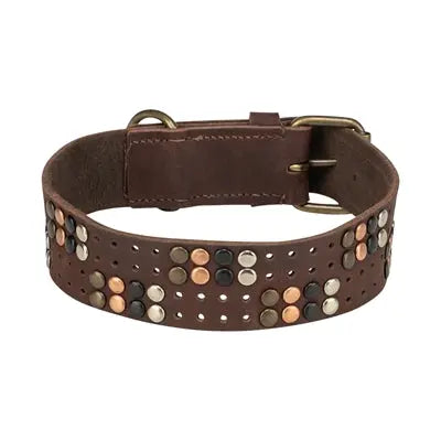 Trixie Hundehalsband Niete Rustikal Spitze Leder Dunkelbraun