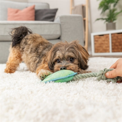 Trixie Tierbein Hundespielzeug grün – Detailansicht Seilbefestigung und Plüsch