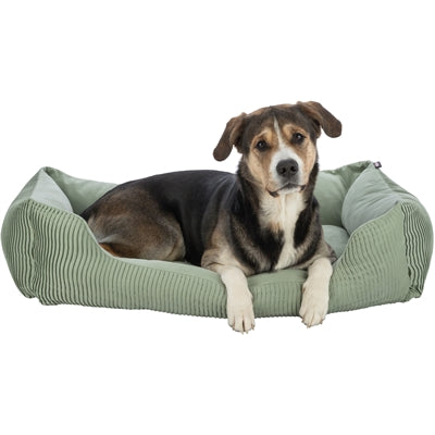 Trixie Hundekorb Marley Soft Edition – Hund beim gemütlichen Liegen im Korb