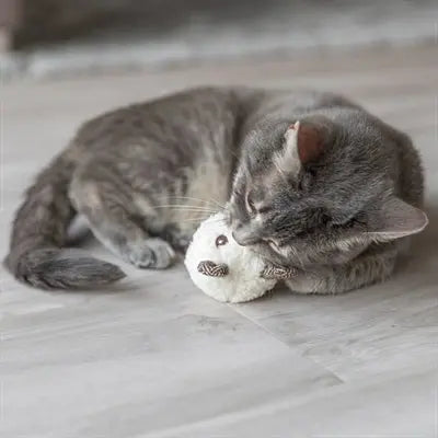 Trixie Bär Mit Katzenminze Plüsch Assortiert
