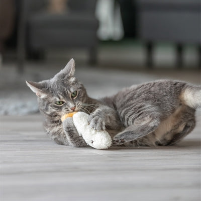 Trixie Schlafmütze Katzenminze Plüsch-Spielzeug verschiedene Farben