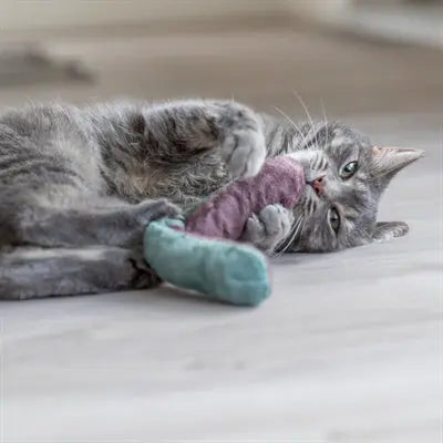 Trixie Spielkissenrolle Mit Katzenminze Sortiert