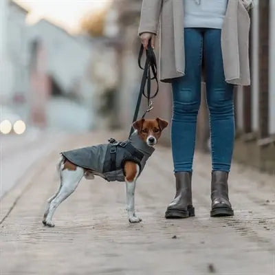 Trixie Hundemantel Pontis Mit Geschirr Reflect Grey