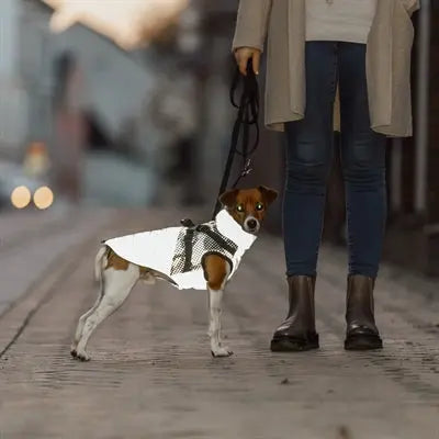 Trixie Hundemantel Pontis Mit Geschirr Reflect Grey