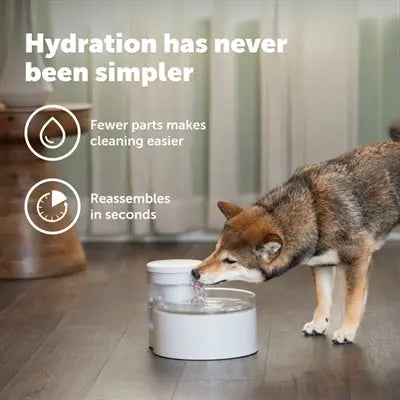 Petsafe Trinkbrunnen Überdauern