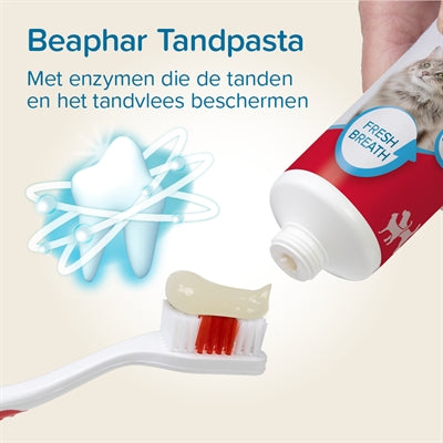 Beaphar Hundepflege Kombi-Packung – Größenvergleich Shampoo und Bürste