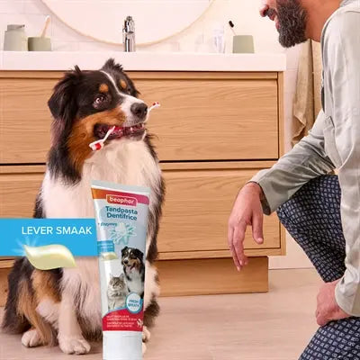 Beaphar Und Bürste Kombi-Packung