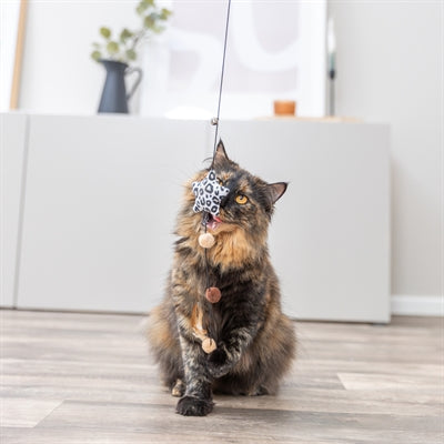 Katze greift nach Trixie Stern Plüschspielzeug mit Katzenminze