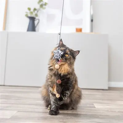 Trixie Katzengriff Stern Plüsch Mit Katzenminze