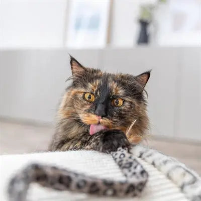 Trixie Katze Stick Schwanz Panther Druck Plüsch Mit Katzenminze