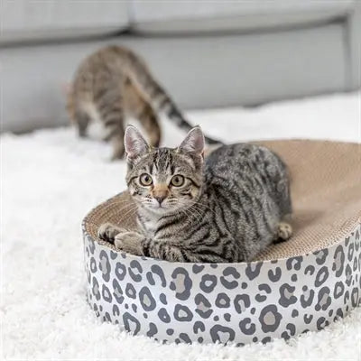 Trixie Kratzmatte / Korb Leo Karton Mit Katzenminze / Katzenminze Creme