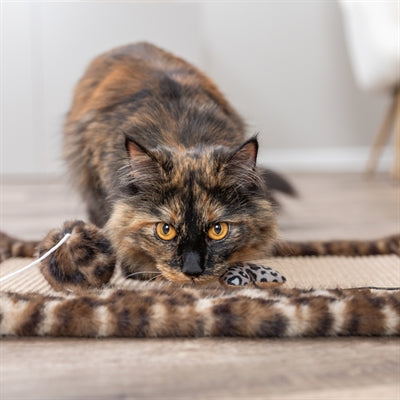 Katzen-Kratzmatte Leo Trixie Panther braun – Maße und Größe