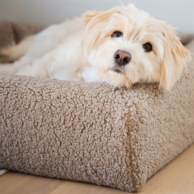 Bia Bed Teddybezug Detailansicht des kuscheligen Materials für Hunde