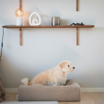Weicher Bia Bed Hundebett-Bezug Teddy Beige im Wohnambiente