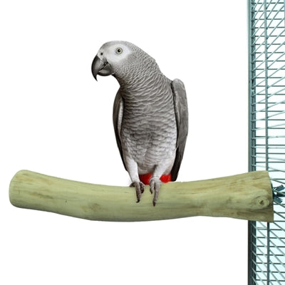 Back Zoo Nature Java Perch Detailansicht der natürlichen Holzmaserung