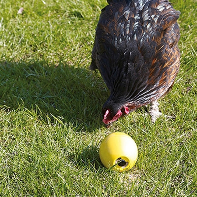 Savic Huhn Spielzeug Huhn Spass