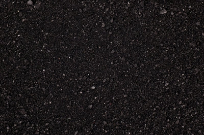 Komodo Caco Sand Schwarz