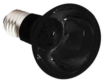 Komodo Nachtglühlampe Es