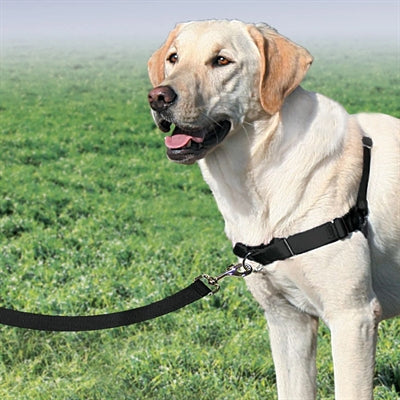 Petsafe Easy Walk Anti-Zug-Gurtzeug Schwarz