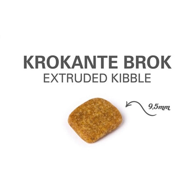 Prins Katze Vital Care Senior