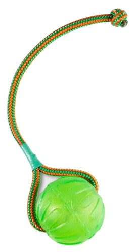 Starmark Swing 'N Fling Kau-Ball An Schnur
